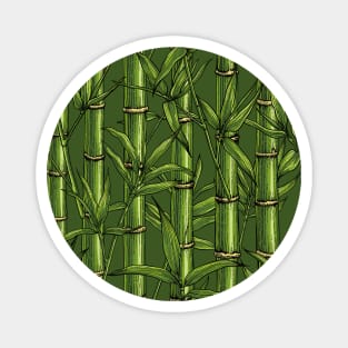 Bamboo forest in green Magnet